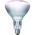 Lämpölamppu Philips IR 240V 150W - Hehkulamput ja erikoislamput - 8711500575227 - 1