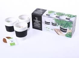 Buzzy 3kpl liitutauluruukkuja + pelletit+siemenet - Ulkoruukut - 8711117850007 - 1