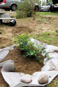 Juuriestematto Tarha 21 m2 - Suodatinkankaat ja katekankaat - 6416556105177 - 1