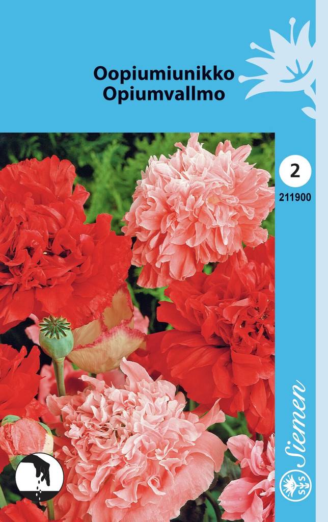 Oopiumunikko 211900 - Puutarhasiemenet - 6415152119007 - 1