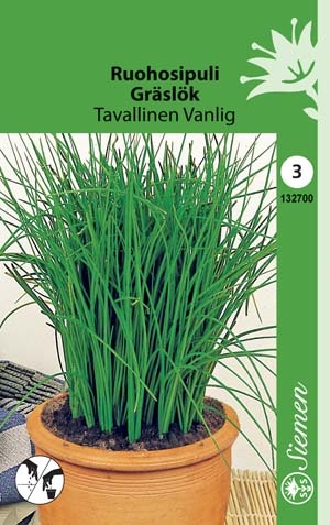 Ruohosipuli TAVALLINEN 132700 - Puutarhasiemenet - 6415151327007 - 1