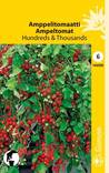 Amppelitomaatti HUNDREDS & THOUSANDS 144500 - Puutarhasiemenet - 6415151445008 - 1