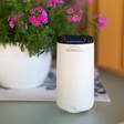 Hyttystorjuntalaite Thermacell Mini Halo - Hyönteisansat ja Hyttyskarkottimet - 843654001838 - 3