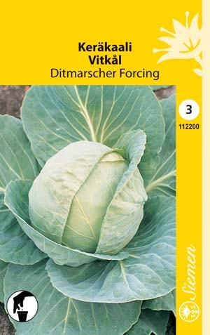 Keräkaali DITMARSCHER FORCING 112200 - Puutarhasiemenet - 6415151122008 - 1