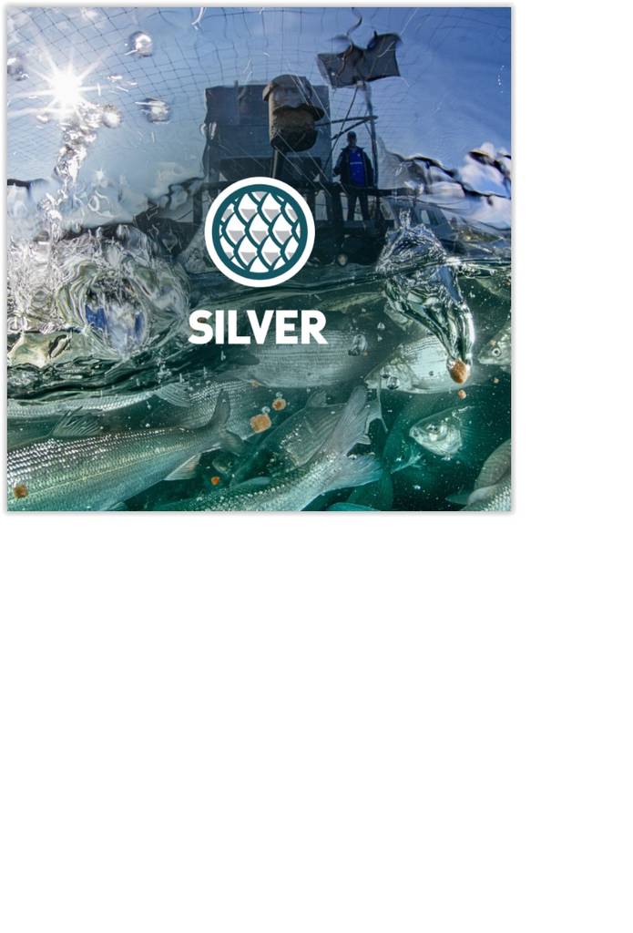 Silver Opti 3,5 S kalanrehu 25kg - Kalan rehut - 963518 - 1