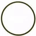 Cintropur O-Rengas 88x5mm - Vedensuodattimet ja kaasunsuodattimet - 13788 - 2