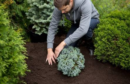 Kekkilä Havu- ja rodomulta 40 L - Puutarhamullat ja turve - 6433000002769 - 2