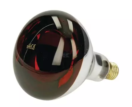 Infrapunavalo, 150W, 230V, punainen - Hehkulamput ja erikoislamput - 8716106849949 - 1