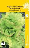 Rapea Keräsalaatti LAIBACHER EIS 2 132920 - Puutarhasiemenet - 6415151329209 - 1
