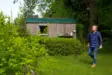 Pensassakset GARDENA EnergyCut 2-in-1 - Puutarhasakset ja leikkurit - 4078500049139 - 7
