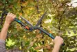 Pensassakset GARDENA EnergyCut 2-in-1 - Puutarhasakset ja leikkurit - 4078500049139 - 6