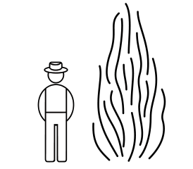 Aitoviiniköynnös Mars Seedless at 2 L - Köynnöskasvit - 6417189248149 - 1