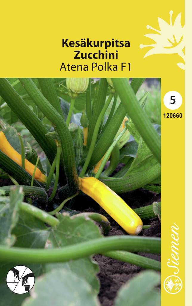Kesäkurpitsa ATENA POLKA F1 120660 - Puutarhasiemenet - 6415151206609 - 1