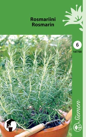 Rosmariini 147700 - Puutarhasiemenet - 6415151477009 - 1