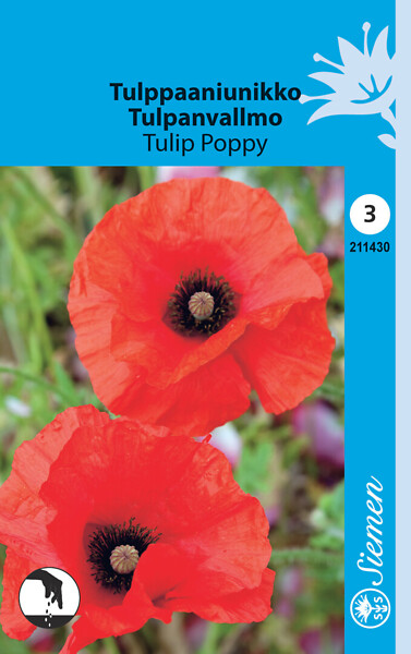 Tulppaaniunikko TULIP POPPY 211430 - Puutarhasiemenet - 6415152114309 - 1
