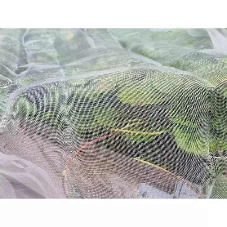 Tuhohyönteisverkko 3x5m - Muut puutarhatarvikkeet - 6430068433009 - 1